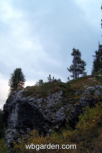 wbgarden alps 92.JPG